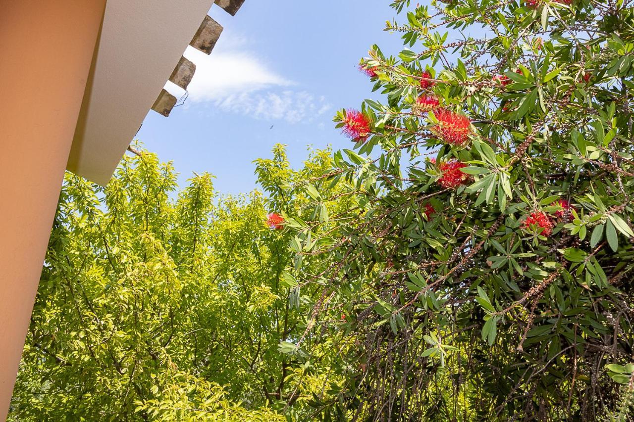 Villa Caterina La Maddalena  Dış mekan fotoğraf